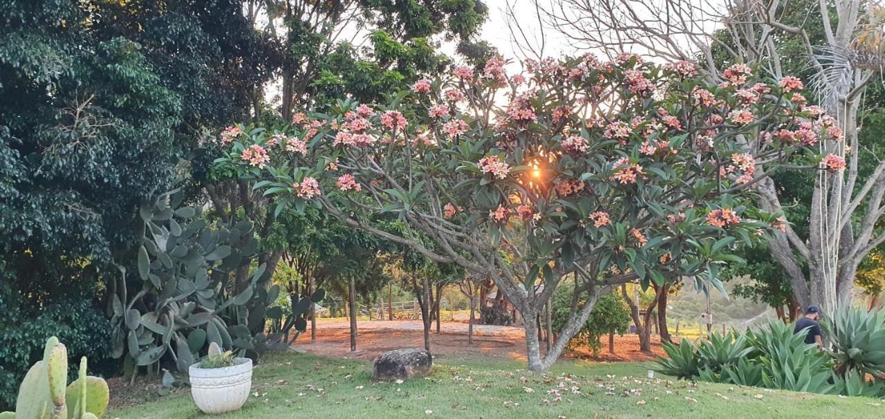 سوكورو Ellementares Guest House المظهر الخارجي الصورة